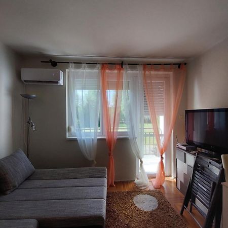 Dorka Apartman فونيارتْسفاشغ المظهر الخارجي الصورة