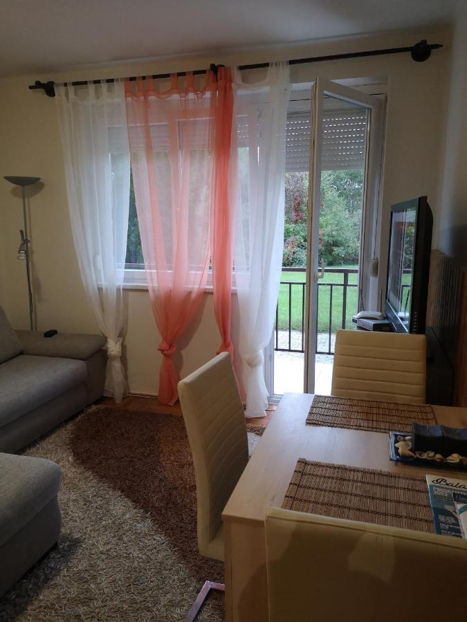 Dorka Apartman فونيارتْسفاشغ المظهر الخارجي الصورة